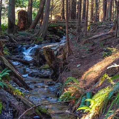 Forest Haven Hideaway Roberts Creek Екстер'єр фото