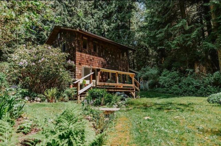 Forest Haven Hideaway Roberts Creek Екстер'єр фото