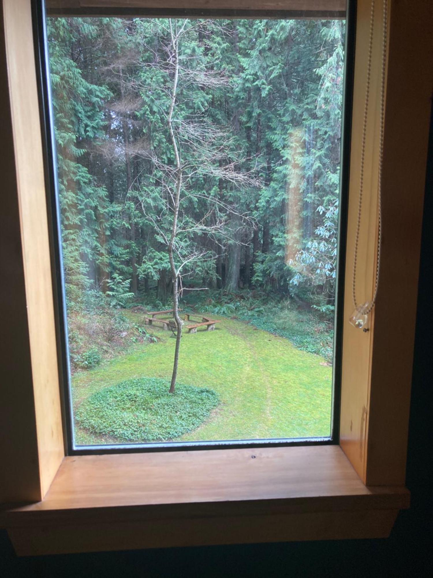 Forest Haven Hideaway Roberts Creek Екстер'єр фото